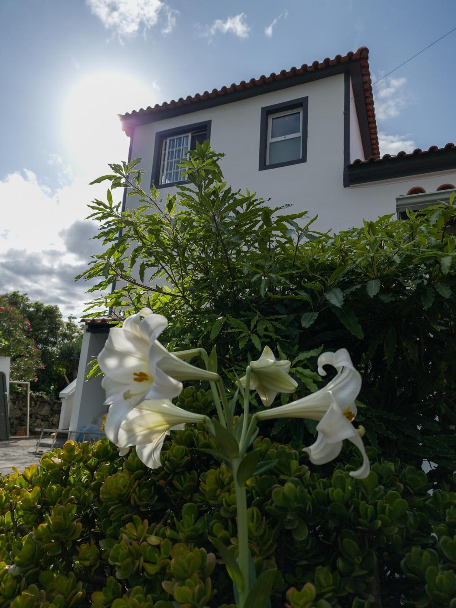 Loving Strangers Hostel Madalena  Exterior foto